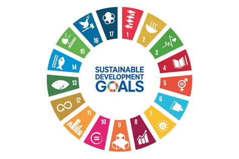 United Nations Sustainable Development Goals Un Sdgs Course