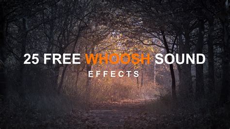 Find the perfect sound effect. 25 Whoosh Sound Effects Pack | Free Cinematic Whoosh Sound ...