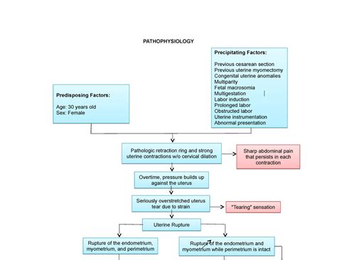 Pathophysiology On Uterine Rupture Leading To Early Postpartum Hemorrhage Lrdr