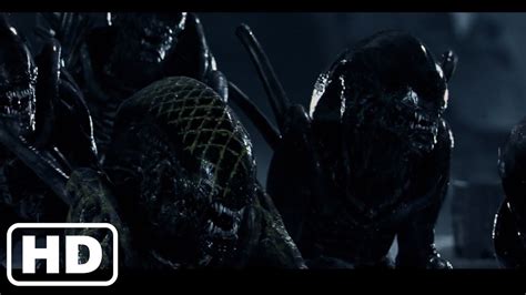 Alien Vs Predator The Final Battle Best Fight Scenes Youtube