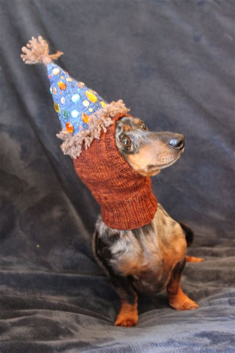 Find the perfect dog with birthday hat stock photos and editorial news pictures from getty images. Check out this cute knitted dog birthday hat by Lucky Fox ...
