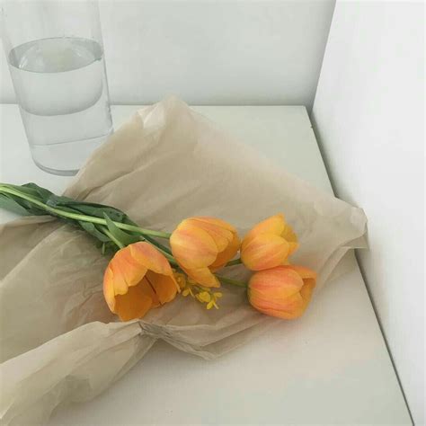 Best Totally Free Tulip aesthetic Tips | Orange aesthetic, Flower aesthetic, Aesthetic colors