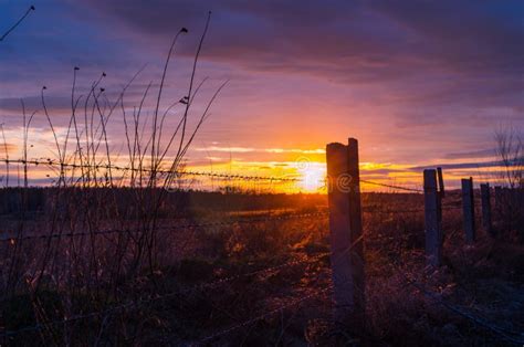 Fence With Barbed Wire On The Background Of The Bright Sunset Stock