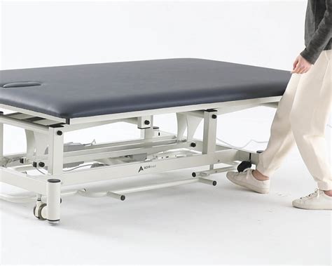Antimicrobial Hi Lo Power Mat Therapy Table Alpine