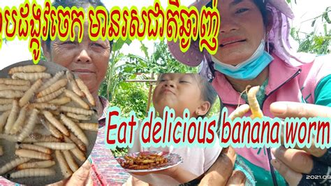 To Find Banana Worm And Eating Delicious Banana Worms Youtube