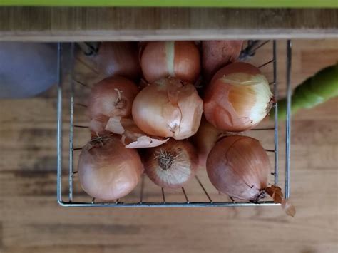 Selecting The Best Onions For Storing Long Term Onion Growing Onions