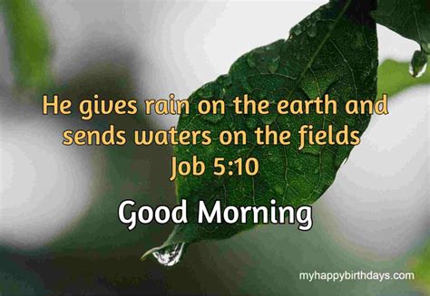 Good Morning Bible Verses With Images Wishes Messages