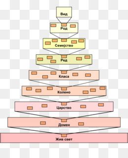 Unidade De Taxonomia Operacional Fundo Png Imagem Png Heat Map The