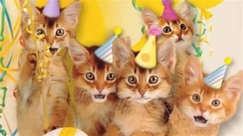 Surprise your friends and family by sending them a birthday ecard! Cats Singing Happy Birthday | Happy birthday cat, Happy ...