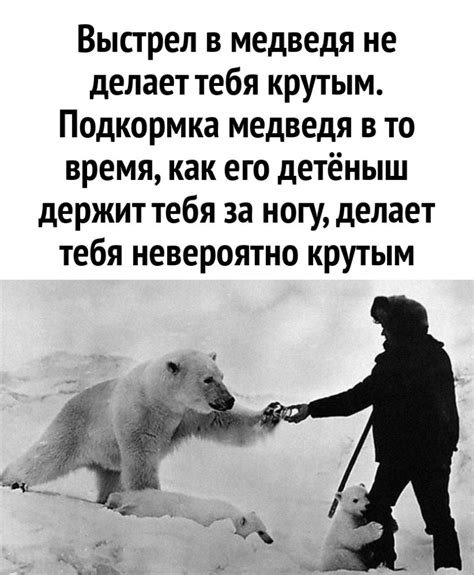 Белый медведь мужик медвежонок смешные картинки и другие приколы комиксы гиф анимация
