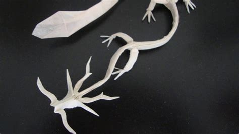 Multiplying 1/2 and 2/3 together, two's will cancel and you'll be left with a product of 1/3. Creating of ryujin 1.2 by satoshi kamiya:/ 神谷哲史龍神折り紙 ...
