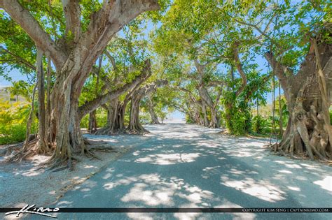 Banyan Street Boca Grande Florida Gasparilla Island Hdr Photography