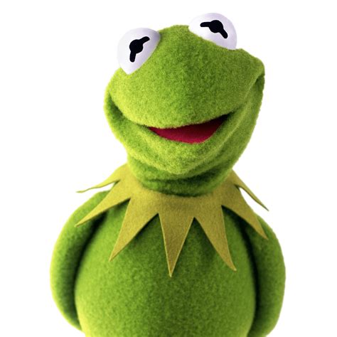 Kermit The Frog Shy Icons Png Free Png And Icons Downloads