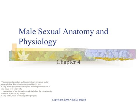 Male Sexual Anatomy And Physiology