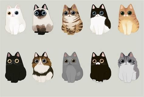 보들캣 종류 네이버 블로그 검은 고양이 일러스트 고양이 그림 동물 삽화