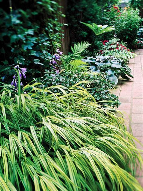 The Best Perennials For Shade