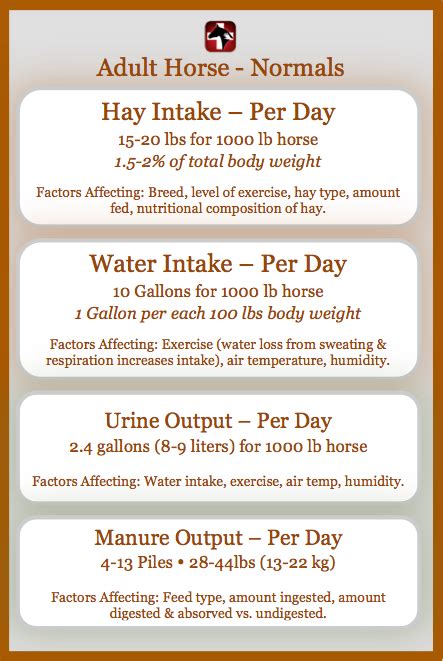 Vitals And Anatomy Horse Side Vet Guide Hunter Jumper Horse Nutrition