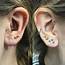 Newest Editions Transverse Lobe And High Top Of Triangle  Piercing