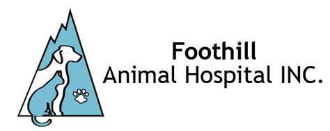 Northwestern medicine proudly opened the current lake forest hospital in march 2018. About Our Veterinary Hospital in Lake Forest | Foothill ...