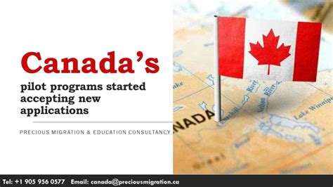 Canada’s Pilot Programs Started Accepting New Applications Precious Education And Immigration