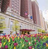 Photos of Hotels Closest To Grant Park Chicago Il