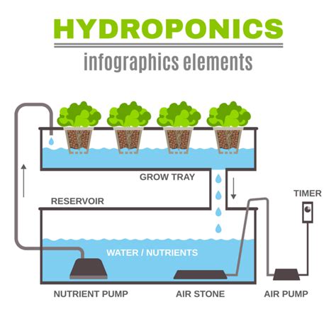 Pin On Hydroponics