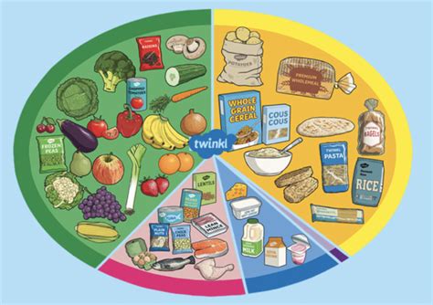 What Is An Eatwell Plate Eating Well Guide Twinkl