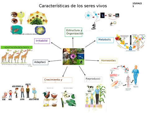 características de los seres vivos apuntes de biología docsity