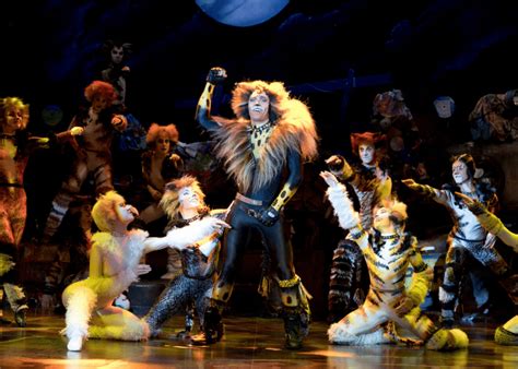 Cats The Musical Review A Campy Theatrical Spectacle Honeycombers