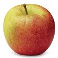Hier werden deutschlands beliebteste apfelsorten und ihre reifezeitpunkte geschmack: Apfelsorten | swissfruit