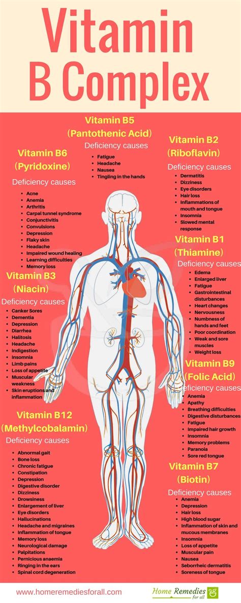 Vitamin b complex is a supplement containing eight b vitamins. Pin on food