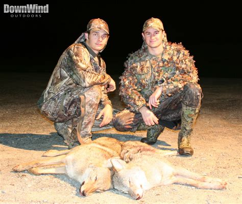 Coyote Hunting Pictures Downwind Outdoors