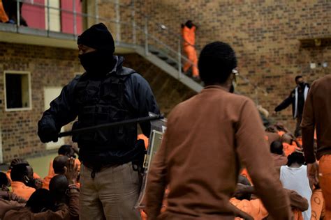 Watch Prison Raid In Kzn Reveals Weapons Drugs And Cellphones