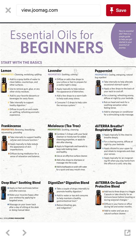 Oils For Beginners Essential Oils Guide Essential Oils Rosemary