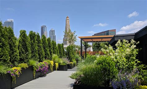 Roof Gardens Elevating Your Home With Green Rooftop Designs Home