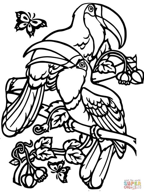 Toucan coloring page to print. Two Toucans coloring page | Free Printable Coloring Pages