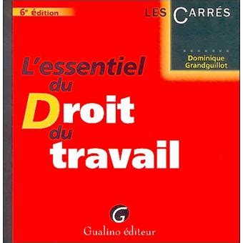 L Essentiel Du Droit Du Travail Edition 2005 Poche Dominique