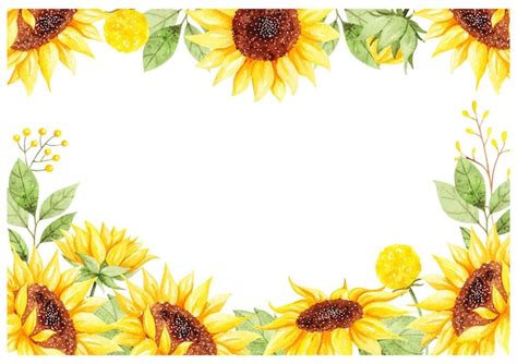 Premium Vector Watercolor Beautiful Sunflower Background