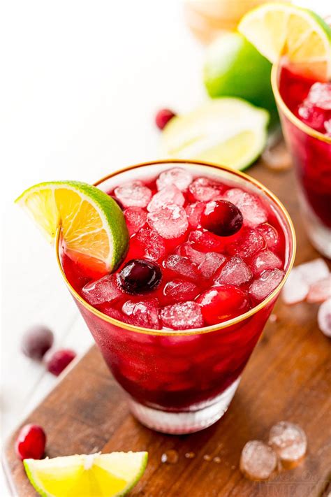 What Is Cranberry Juice Orange And Vodka Called Best Juice Images