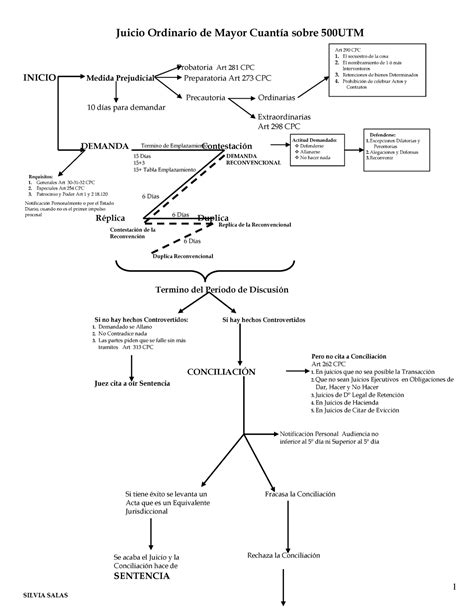 Todos Los Esquemas De Juicios Procesal Iii Silvia 1 Juicio Ordinario