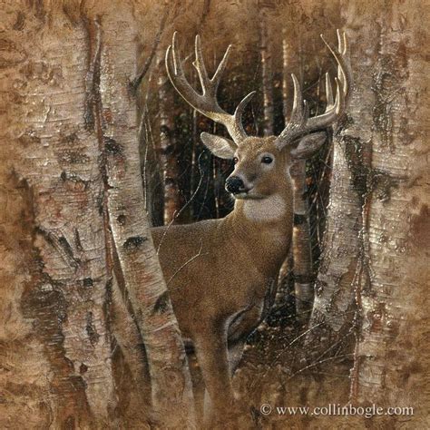 Birchwood Buck Deer Deer Painting Deer Artwork Deer Art Print
