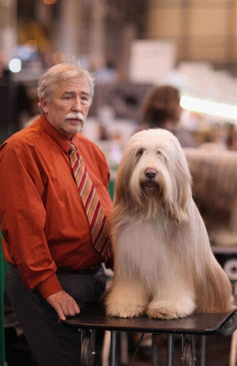 20 Dog Owners Who Look Like Their Dogs Like Animals Funny Animals