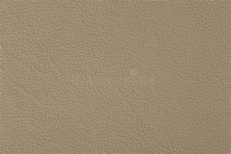 Luxury Beige Leather Texture Close Up Leather Background Stock Image