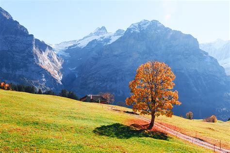 Picturesque Autumn Landscape In Grindelwald Village The Swiss Quality