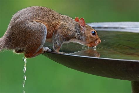 On Black Really Thirsty By Ehpien Large