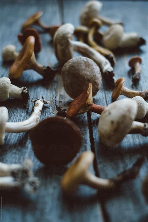 Mashrooms On The Wooden Table By Stocksy Contributor Brkati Krokodil