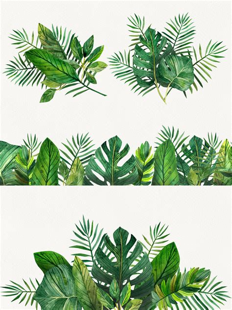 Watercolor Tropical Leaves Clip Art Digital Drawing Tropical Leaves