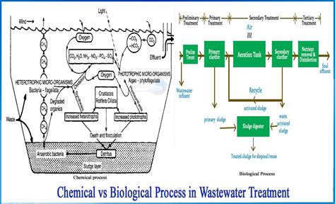 What Are The Difference Between Chemical And Biological Process
