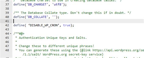 Use Of Undefined Constant Error With DISABLE WP CRON