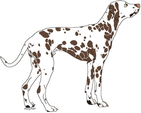 Liver Spotted Dalmatian Adopt Closed By Sumi1978 On Deviantart